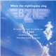 BZN - Where The Nightingales Sing